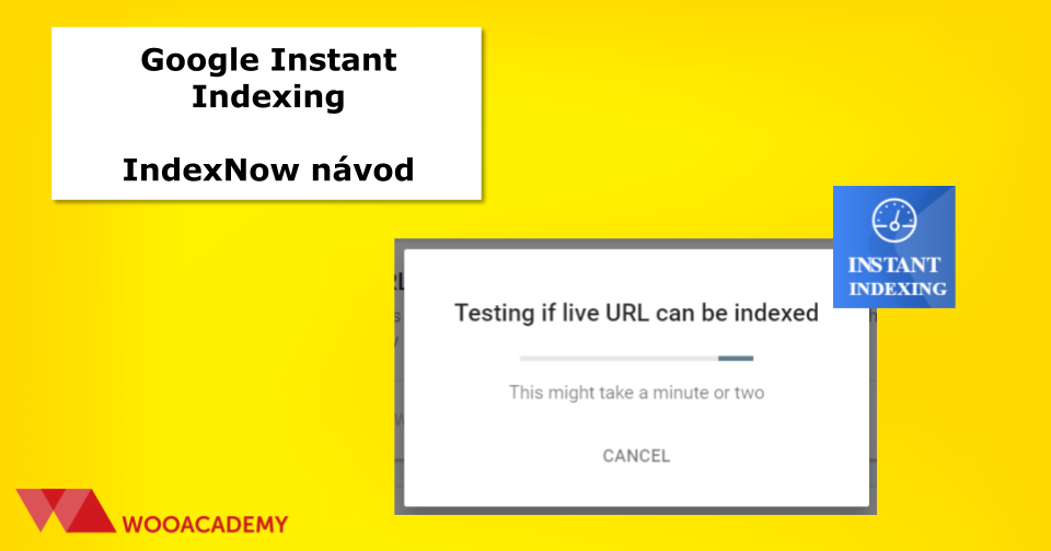 okamzite-indexovanie-google okamžité indexovanie Google návod
