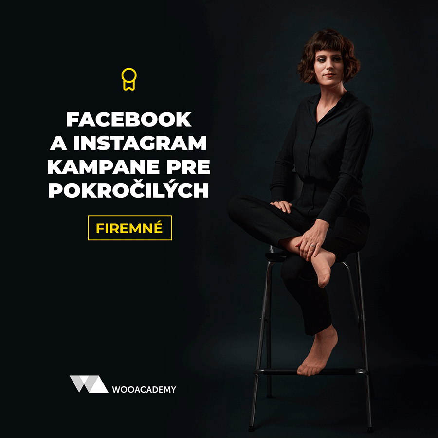 skolenie-facebook-instagram-kampane-pre-firmy