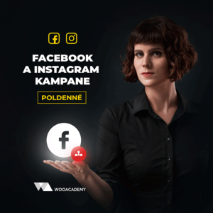 Online / osobné školenie Facebook a Instagram kampane