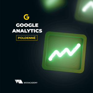 Online / osobné školenie Google Analytics