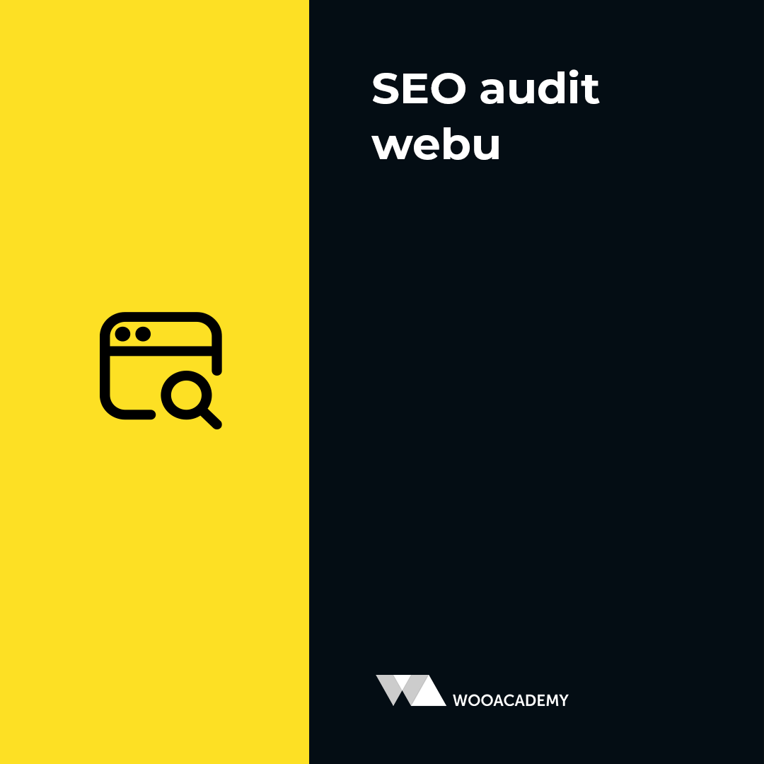 SEO audit webu